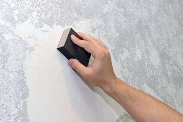Best Mold Odor Removal Services  in Burlington, VT