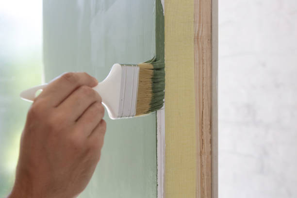 Best Mold Removal for HVAC Installations  in Burlington, VT