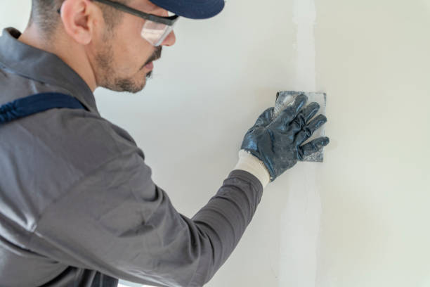 Best Post-Construction Mold Inspection  in Burlington, VT